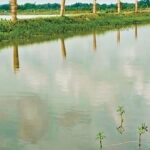 যশোরে খাল খননের অর্থ আত্মসাতের অভিযোগ ইউপি চেয়ারম্যান ও প্রকল্প কমিটির বিরুদ্ধে