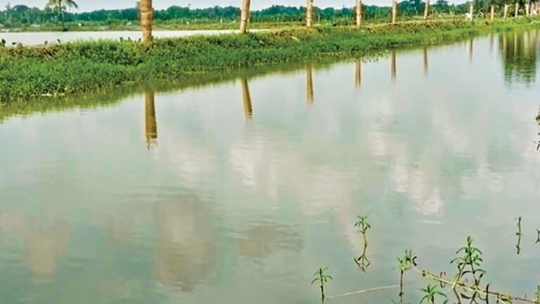 যশোরে খাল খননের অর্থ আত্মসাতের অভিযোগ ইউপি চেয়ারম্যান ও প্রকল্প কমিটির বিরুদ্ধে