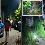 বগুড়ায় সাবেক ইউপি সদস্যকে কুপিয়ে হত্যা, জড়িতদের শনাক্তে মাঠে পুলিশ
