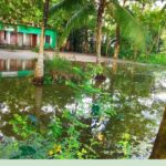 জলাবদ্ধতায় ডুবছে বাবুগঞ্জের সরকারি প্রাথমিক বিদ্যালয় চরম দুর্ভোগে শিক্ষার্থীরা