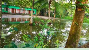 জলাবদ্ধতায় ডুবছে বাবুগঞ্জের সরকারি প্রাথমিক বিদ্যালয় চরম দুর্ভোগে শিক্ষার্থীরা