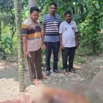 পাবনায় শাবল দিয়ে পোষা কুকুর হত্যার ঘটনায় মামলা দায়ের