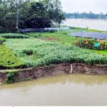 বগুড়ায় বাঙ্গালী ও করতোয়া নদীর ভাঙনে দিশেহারা শত পরিবার ভিটেমাটি হারানোর আতঙ্ক
