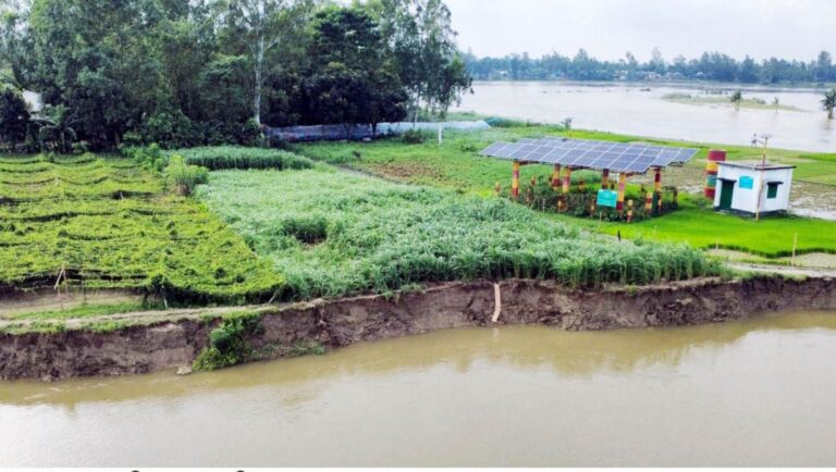 বগুড়ায় বাঙ্গালী ও করতোয়া নদীর ভাঙনে দিশেহারা শত পরিবার ভিটেমাটি হারানোর আতঙ্ক