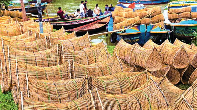 নেছারাবাদে প্রতিকূলতা জয় করে টিকে আছে ঐতিহ্যবাহী চাঁই শিল্প