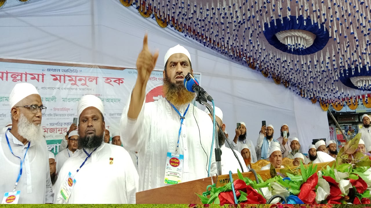 জুলাই সনদ বাস্তবায়ন না হলে সরকারের পতন অনিবার্য মামুনুল হক