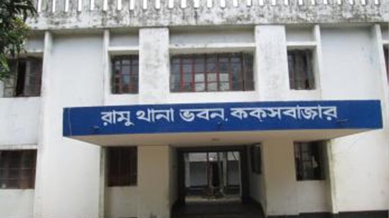 রামুতে মানসিক ভারসাম্যহীন মায়ের হাতে দুই মাসের শিশু সন্তান খুন