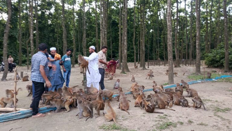 ফুলবাড়ীয়ায় সন্তোষপুর ইকোপার্ক বাস্তবায়নের প্রজ্ঞাপনে এলাকাজুড়ে আশার সঞ্চার