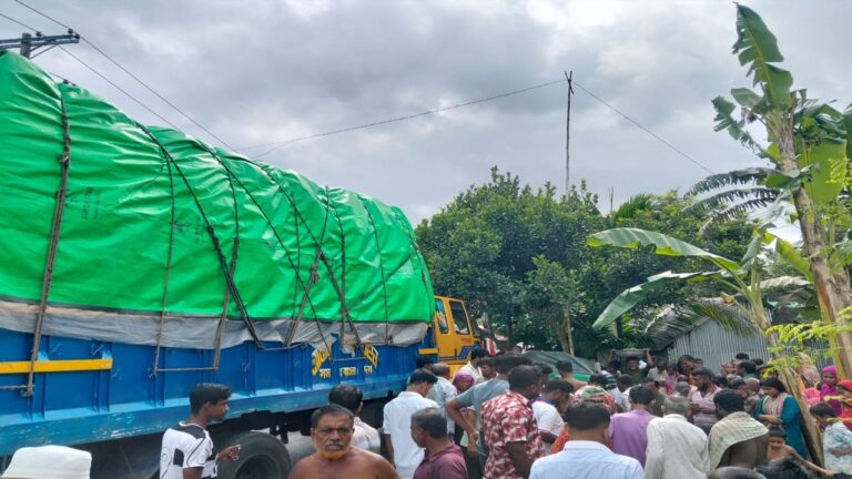 ত্রিশালে ট্রাকচাপায় অটোরিকশার দুই যাত্রী নিহত আহত ৪