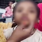 কুষ্টিয়ায় বিড়ালের আঁচড়ে শিশুর অস্বাভাবিক আচরণ নিয়ে বিভ্রান্তি চিকিৎসকের সতর্কতা