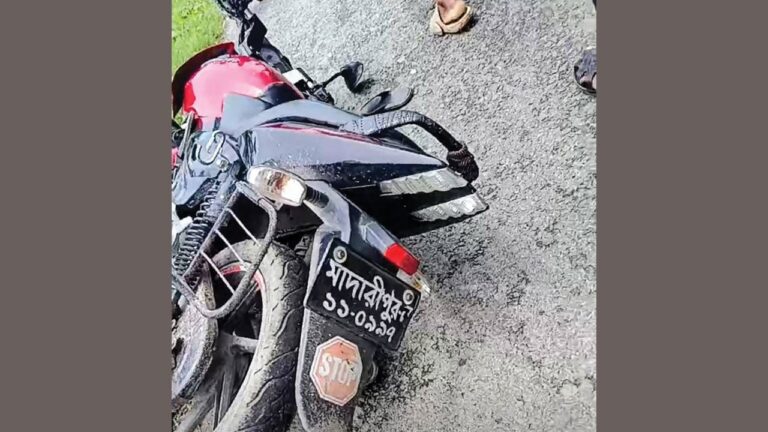 মুকসুদপুরে ট্রাকের ধাক্কায় মোটরসাইকেল আরোহী নিহত