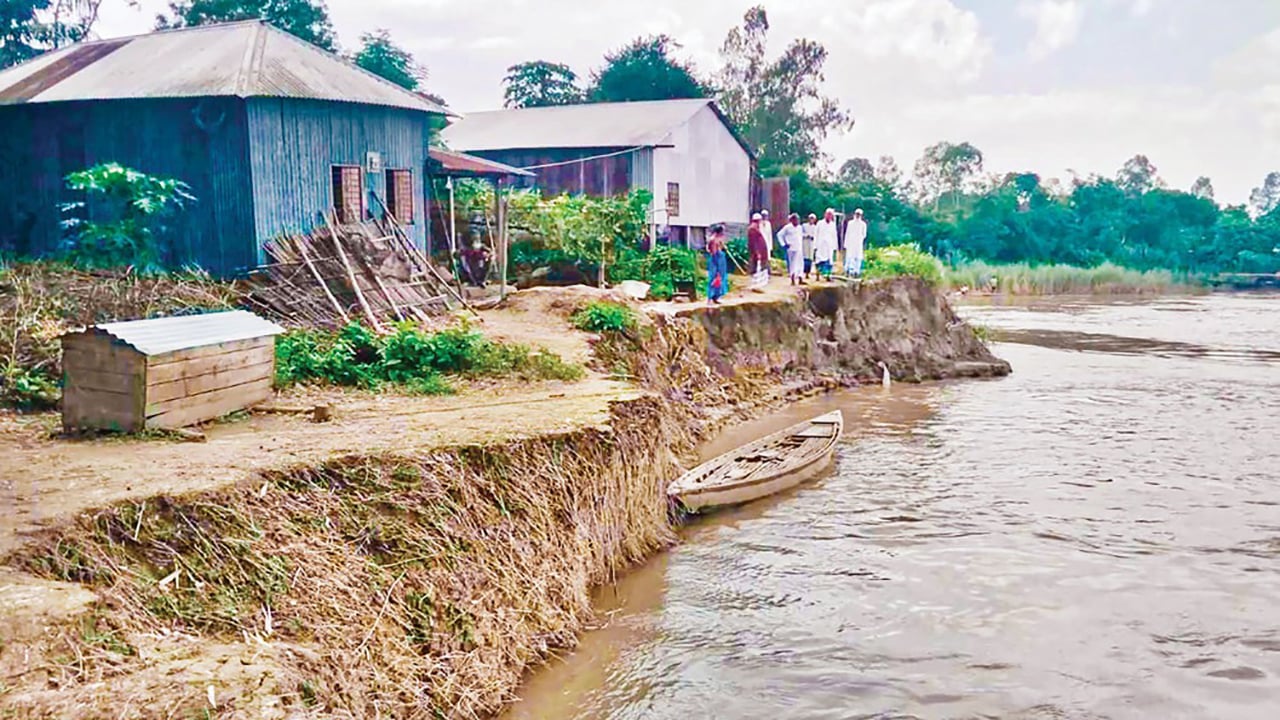 মানিকগঞ্জের দৌলতপুরে যমুনার ভাঙনে বসতভিটা ও ফসলি জমি বিলীন আতঙ্কে দুই শতাধিক পরিবার