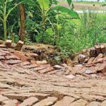গোয়ালন্দে কোটি টাকার হেরিং বোন সড়ক উদ্বোধনের কয়েক মাসেই ধস, নিম্নমানের কাজের অভিযোগ