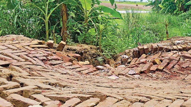 গোয়ালন্দে কোটি টাকার হেরিং বোন সড়ক উদ্বোধনের কয়েক মাসেই ধস, নিম্নমানের কাজের অভিযোগ