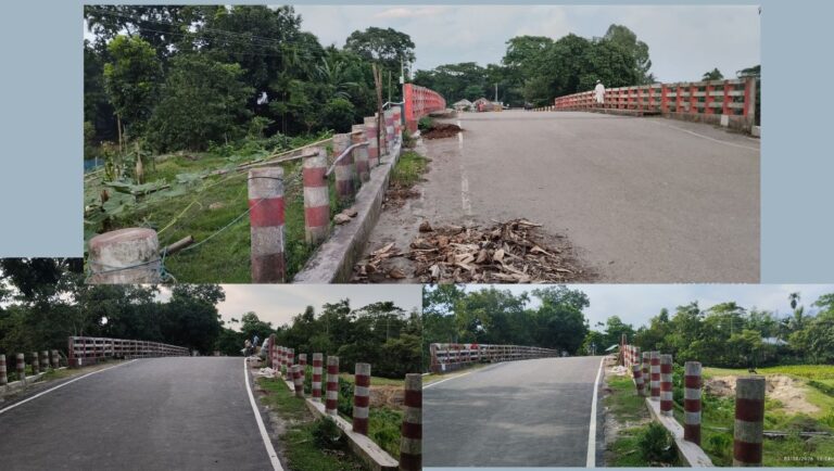 নেত্রকোনায় পানিহীন খালে ৮ কোটি টাকায় নির্মিত ৪ ব্রিজ নিয়ে প্রশ্ন উঠেছে