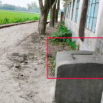 জলঢাকায় এমপির উদ্বোধনের কয়েক ঘণ্টার মধ্যেই সড়ক প্রকল্পের নামফলক উধাও