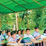 গারো পাহাড়ে খাদ্যসংকটে মানুষ-হাতি রক্তক্ষয়ী সংঘাত বাড়ছে প্রাণহানি