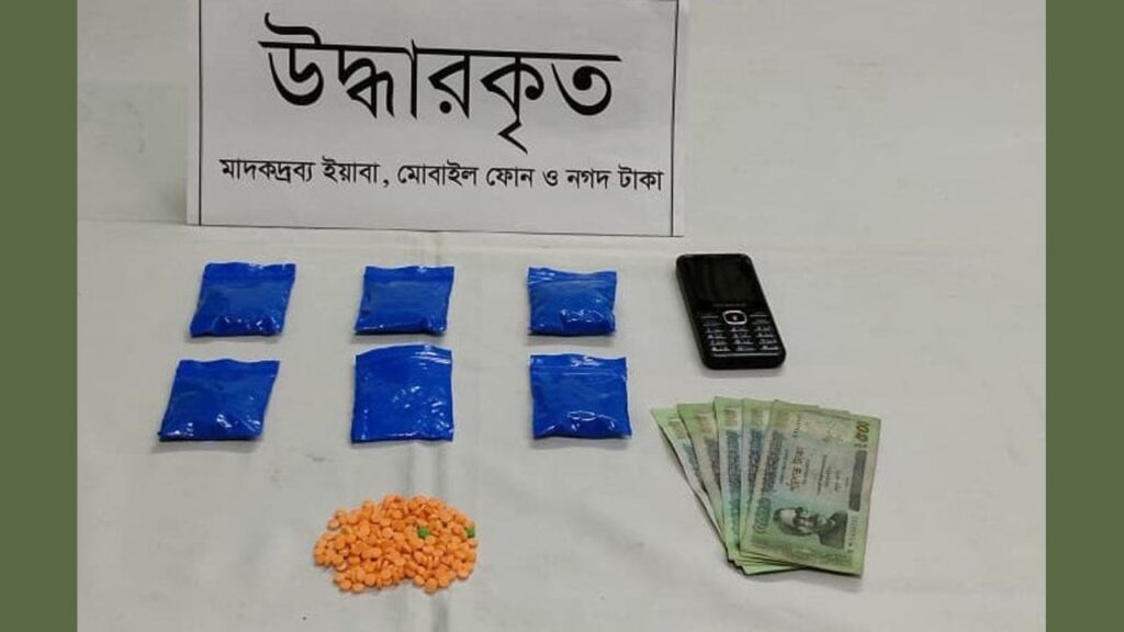 দৌলতদিয়ায় ১৩০০ পিস ইয়াবাসহ নারী মাদক কারবারি গ্রেপ্তার