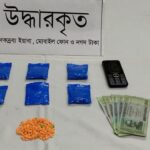 দৌলতদিয়ায় ১৩০০ পিস ইয়াবাসহ নারী মাদক কারবারি গ্রেপ্তার