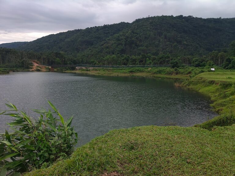 Sylhet Border Village Gains Popularity as Emerging Tourist Destination