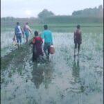 BGB Thwarts Indian Border Guard Attempt to Push Five Individuals into Bangladesh