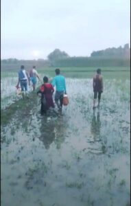 BGB Thwarts Indian Border Guard Attempt to Push Five Individuals into Bangladesh