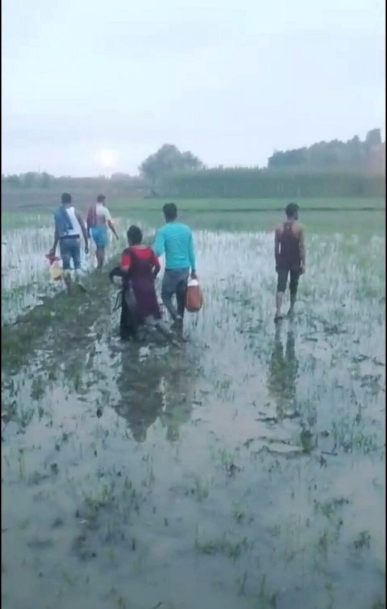 BGB Thwarts Indian Border Guard Attempt to Push Five Individuals into Bangladesh