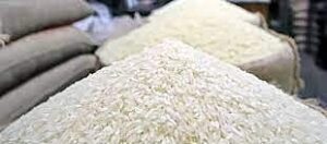 ৫৫ লাখ উপকারভোগীর জন্য ১৫ টাকা কেজি দরে খাদ্যবান্ধব কর্মসূচির চাল বিতরণ শুরু