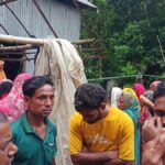 Two Die in Separate Snakebite Incidents in Faridpur District