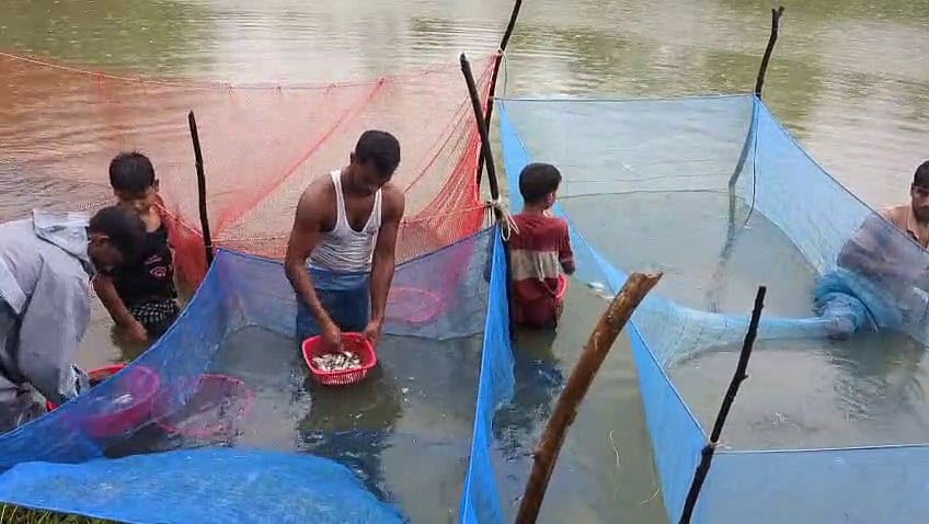 Noakhali fish farmer transforms bicycle-based trade into award-winning seventeen-hatchery enterprise