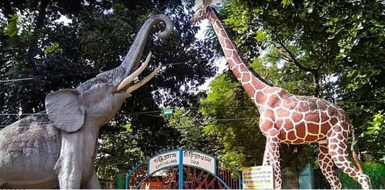 Chittagong Zoo Launches Plastic Waste Recycling Initiative to Offer Free Admission to Students
