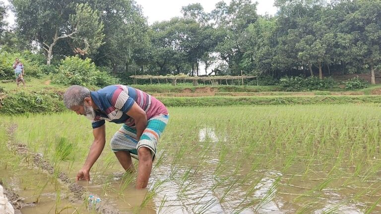 Pressure mounts on agricultural officials to greenlight solar power plant on farmland in Bhaluka