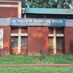 জামালপুরে বিদ্যুৎস্পৃষ্ট হয়ে মা ও ছেলের মৃত্যু আহত দাদি হাসপাতালে