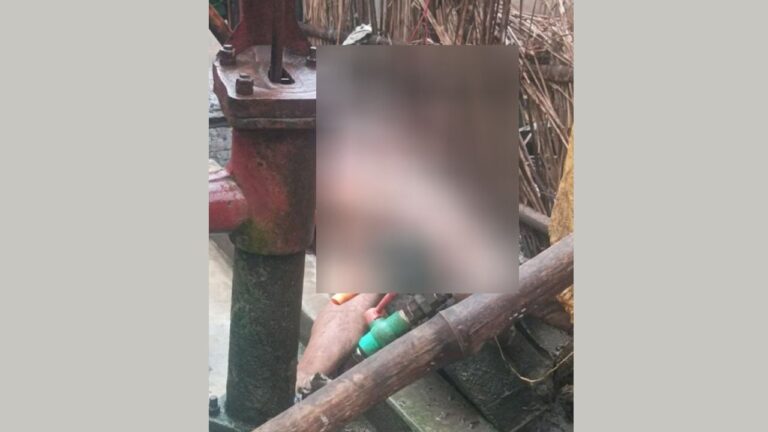চুয়াডাঙ্গায় টিউবওয়েলের মোটর চুরি করতে গিয়ে বিদ্যুৎস্পৃষ্ট হয়ে চোরের মৃত্যু