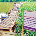 পাখিমারা খালে সেতুর অভাবে তিন দশক ধরে চরম ভোগান্তিতে পাঁচ শতাধিক কৃষক